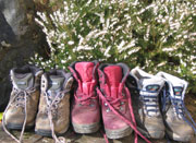 stout walking boots are essential for your winter walking break in Tobermory